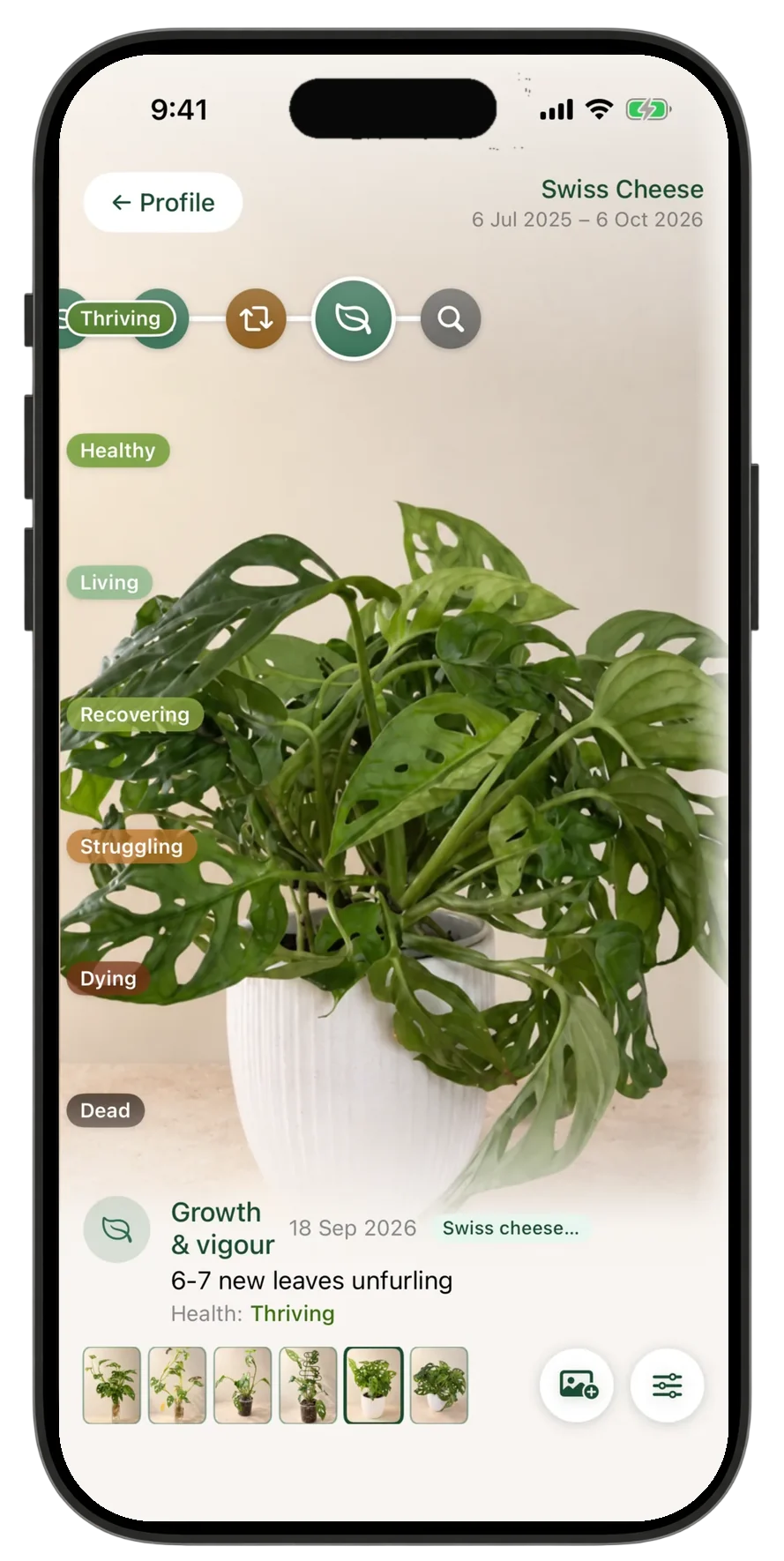 Liana Plant Care journey screen for a Swiss cheese plant, showing its health over time, a growth note and a timeline of photos.